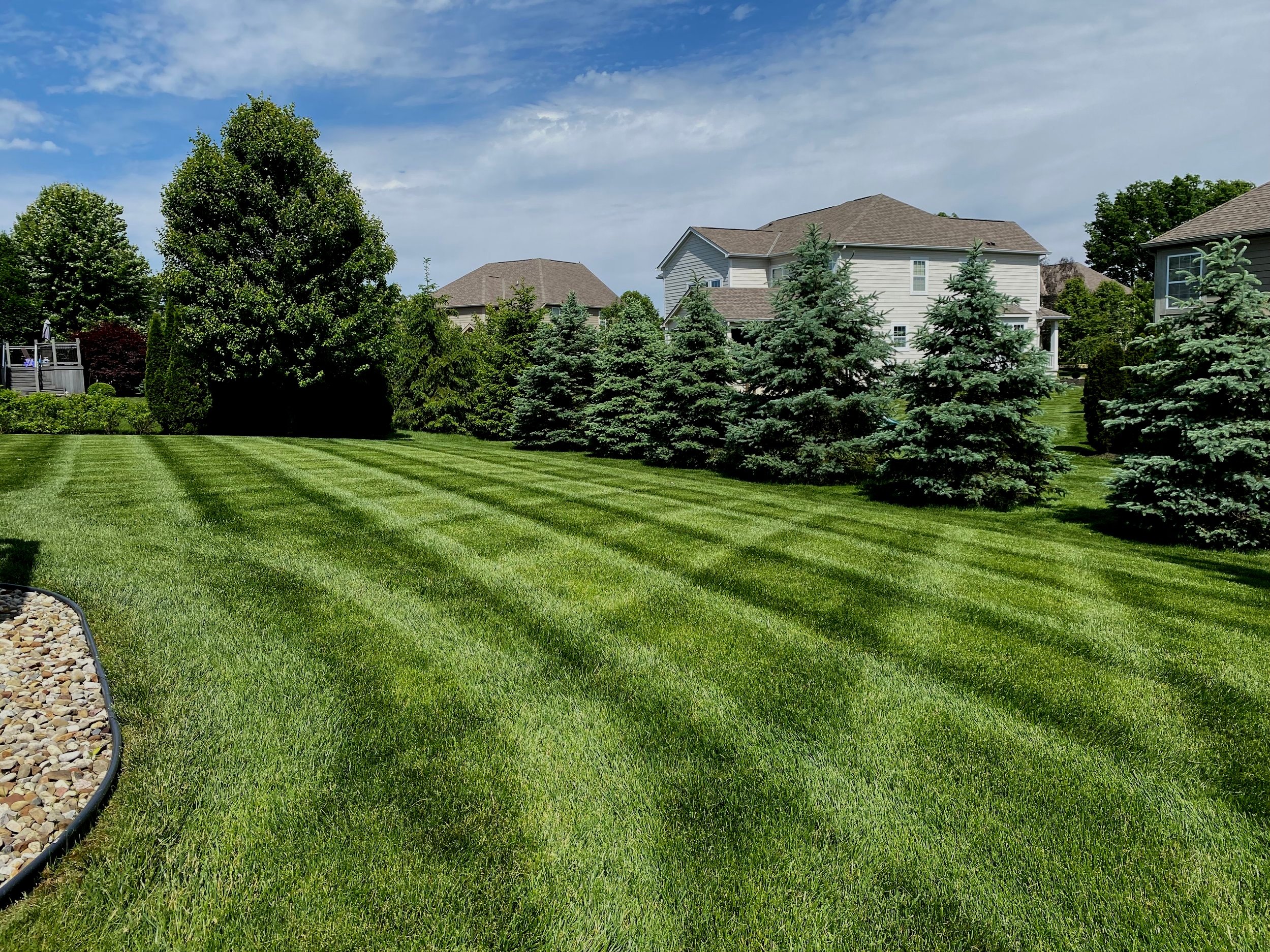 Julu Lawncare Hero Photo