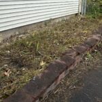 Julu Journey Weed Cleanup After